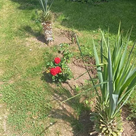 Apartament Direkt Am Pool Pomorie