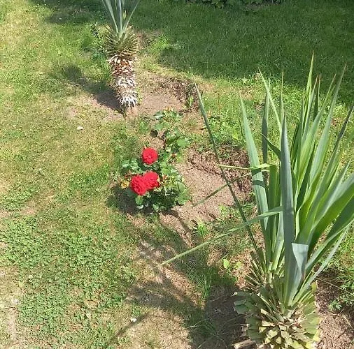 アパート Direkt Am Pool ポモリエ